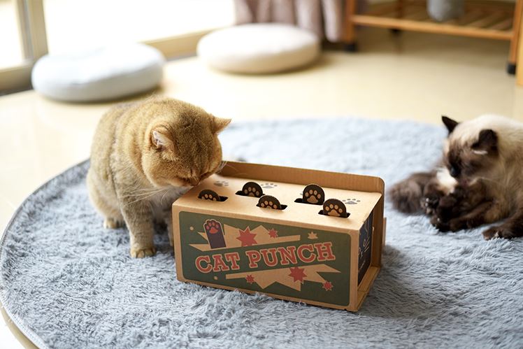 How to assemble your CAT PUNCH the Original Punch Box Teaser Toy?