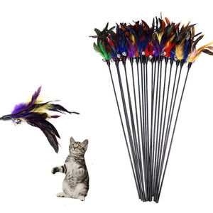Cat Teaser Rod with Feathers and Bell