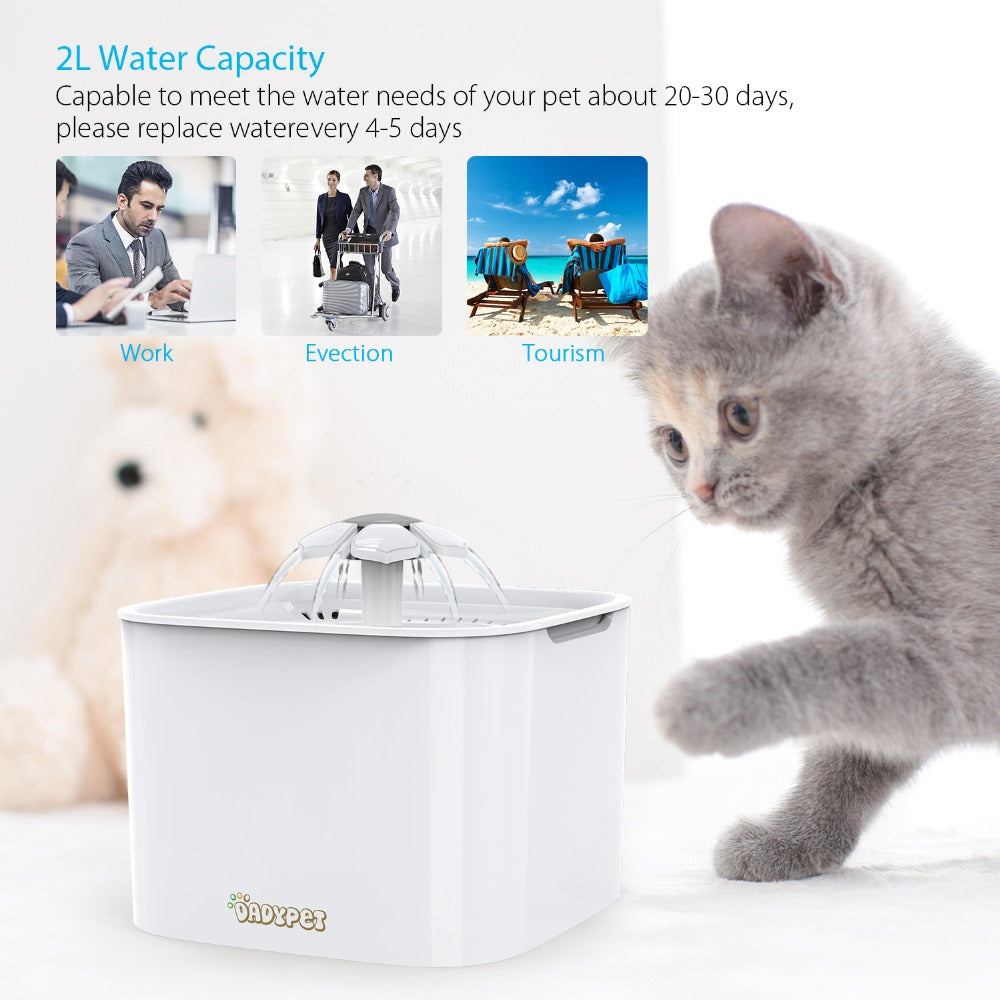 Automatic Water Fountain Feeder for Cats and Dogs