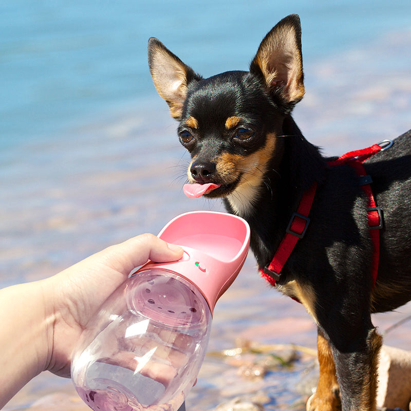 Travel Drinker Bottle For Pets & Dogs
