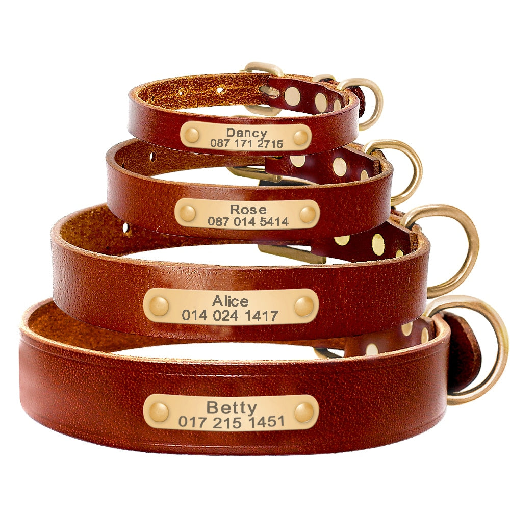 Brown Leather Pet Collar with Personalized ID Tag Engraving