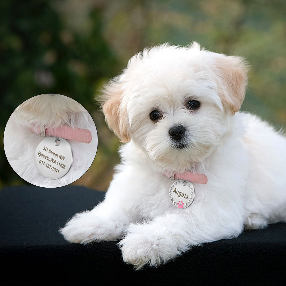 Personalized Pet ID Tag with Engraving - Round Diamond & Paw