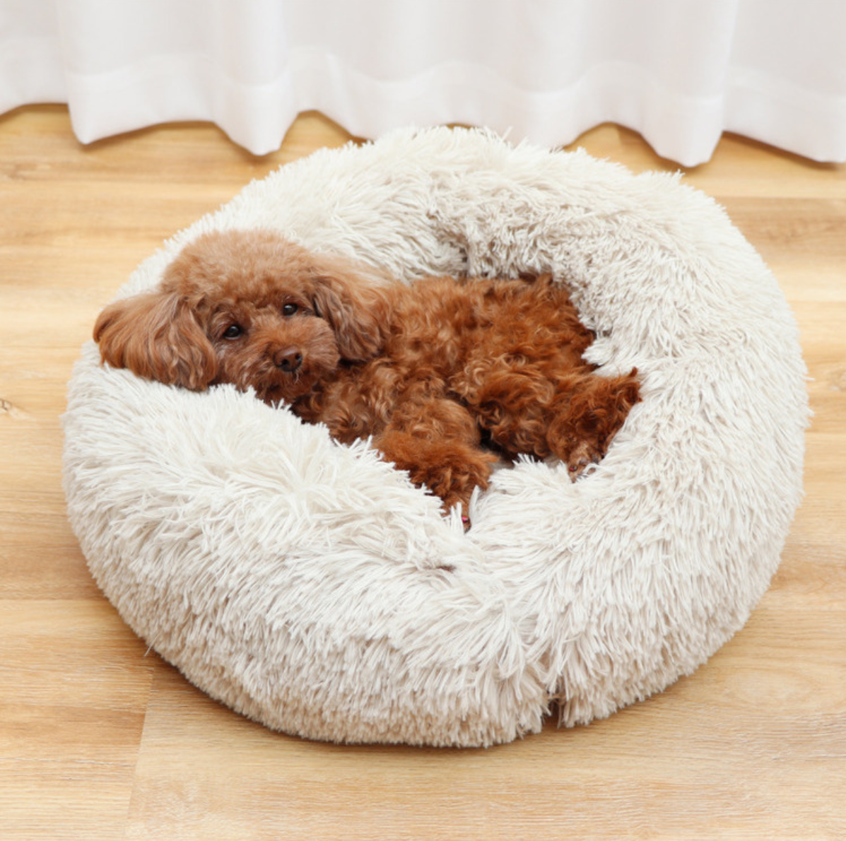 Luxury Pet Couch Bed with Ultra Soft Plush (25% off promo)