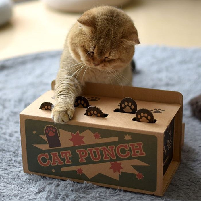 CAT PUNCH the Original Punch Box Teaser Toy for Cats (Extra 10% off using promocode LAZYPETS10)
