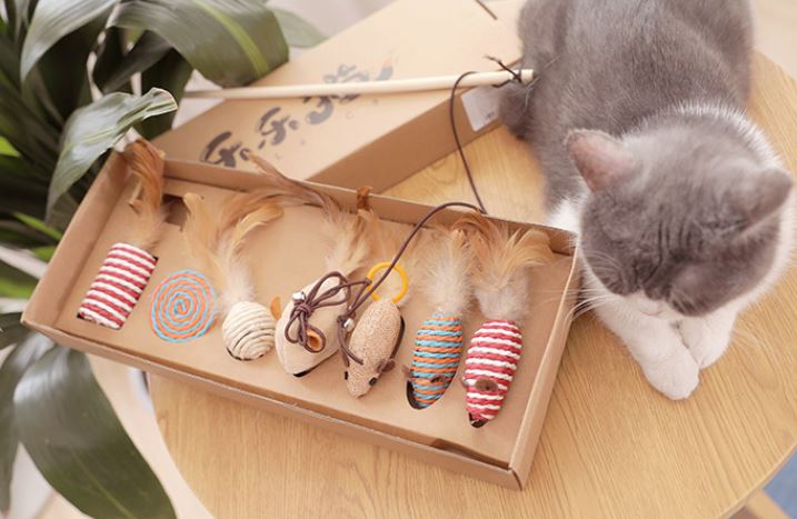 7 in 1 Beautiful Gift Set of Cat Teasers
