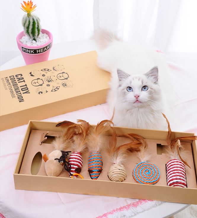 7 in 1 Beautiful Gift Set of Cat Teasers